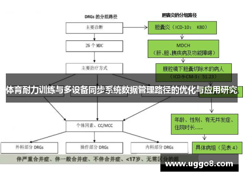 体育耐力训练与多设备同步系统数据管理路径的优化与应用研究